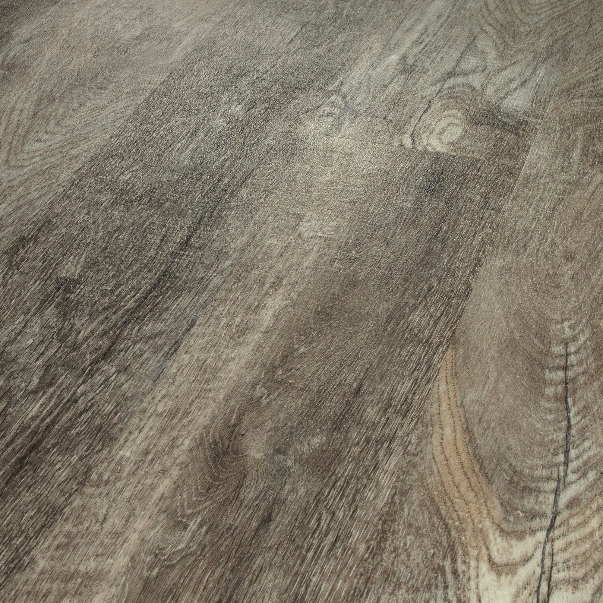Smoky Oak, seen at an angle