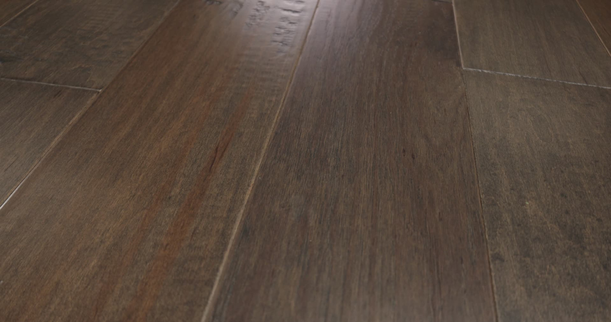 Timberwolf, the manufacturer's 360 video