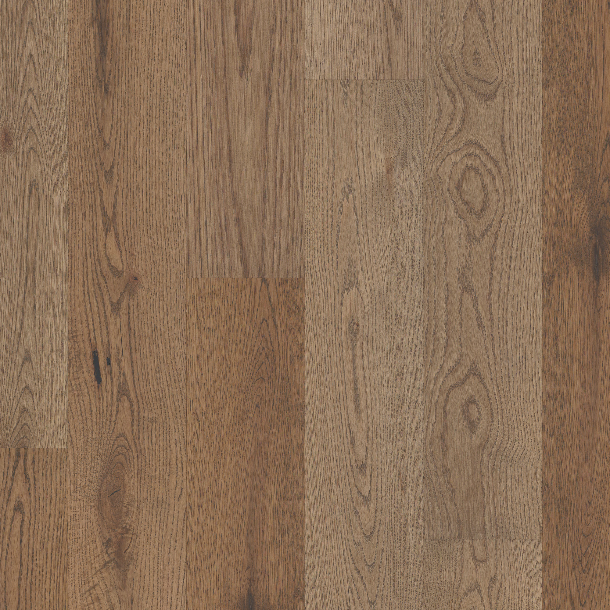 Woodlands swatch