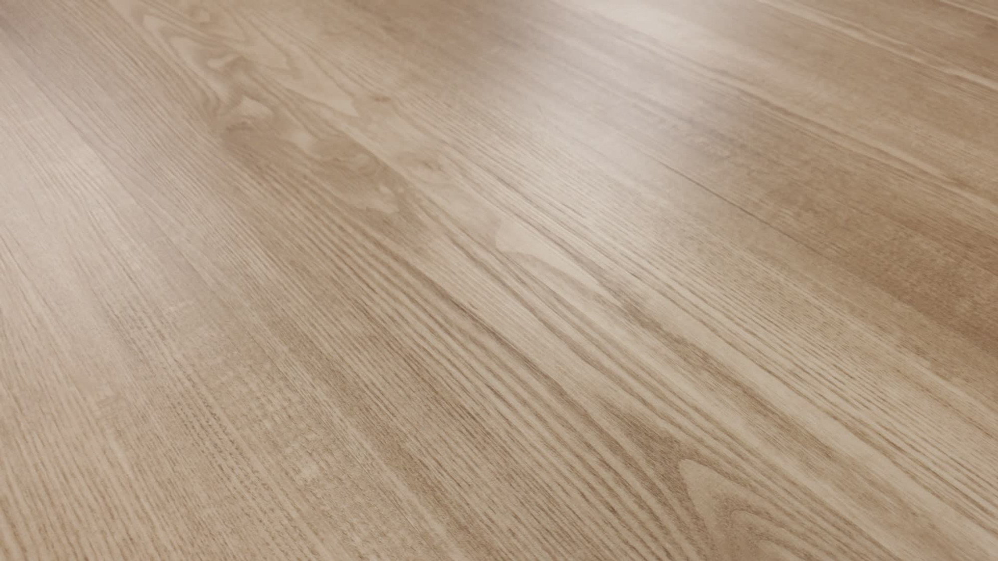 Sandstone, the manufacturer's 360 video