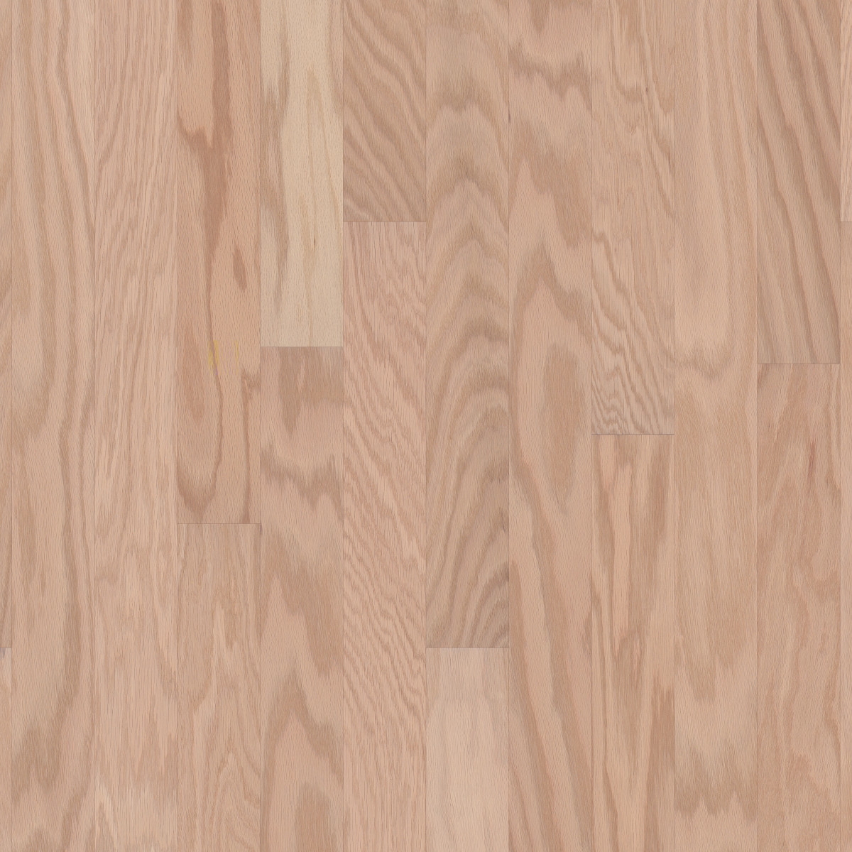 Biscuit Lg, Albright Oak 3.25