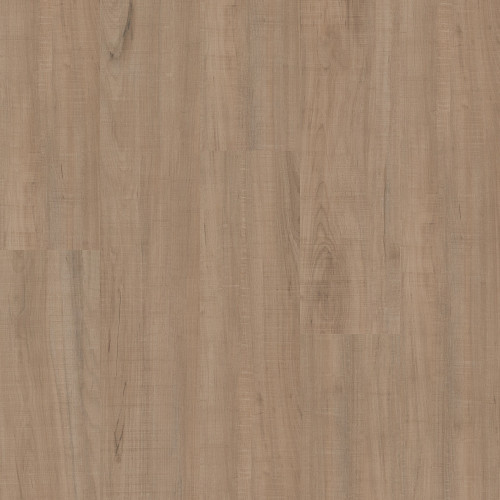 Chatter Oak