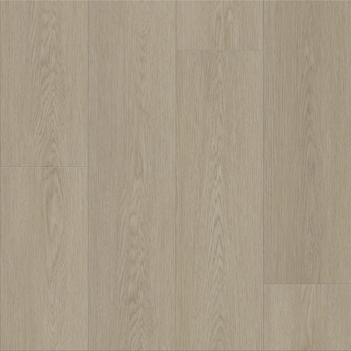 Gossamer Grey