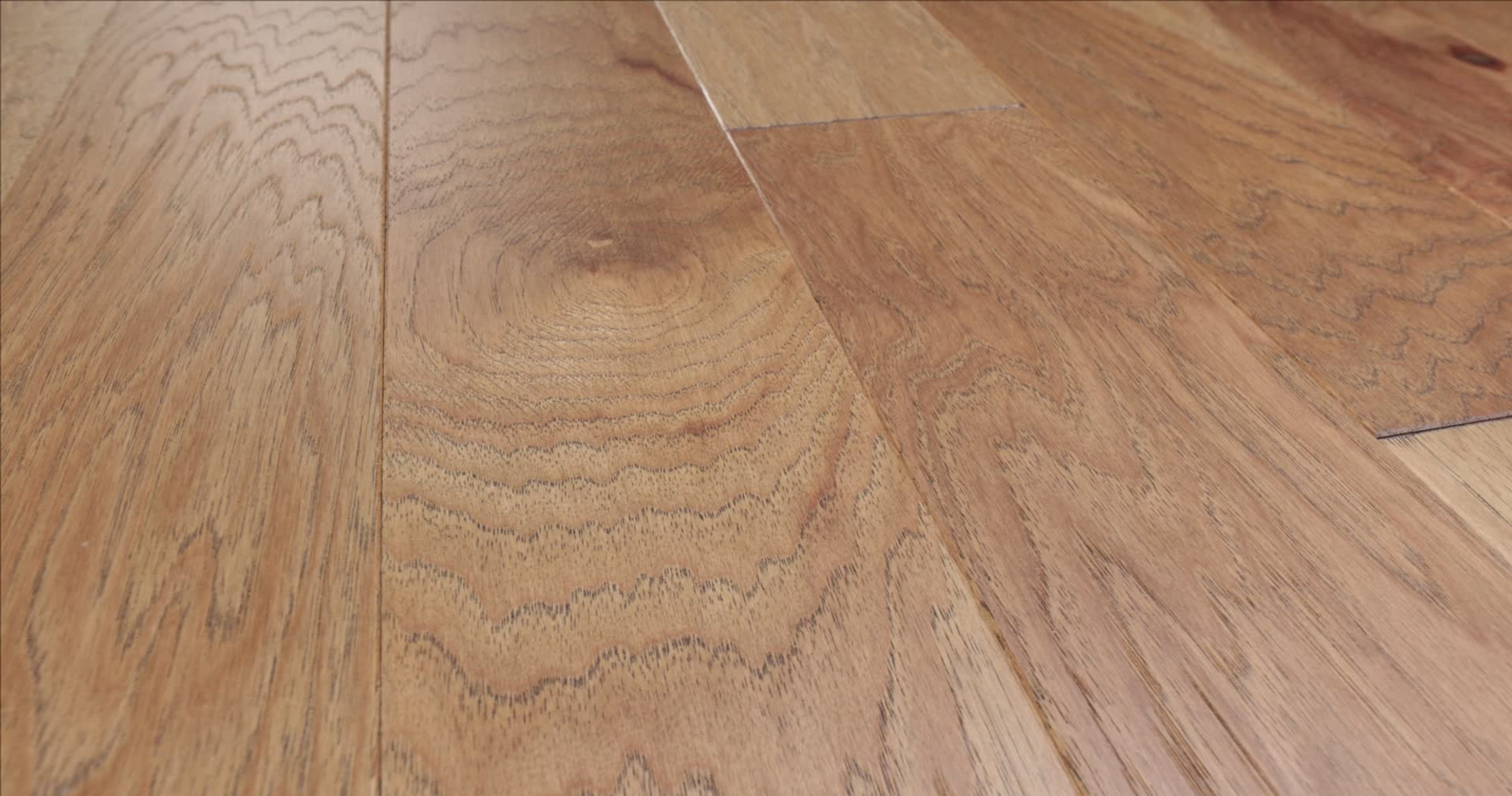 Burlap, the manufacturer's 360 video