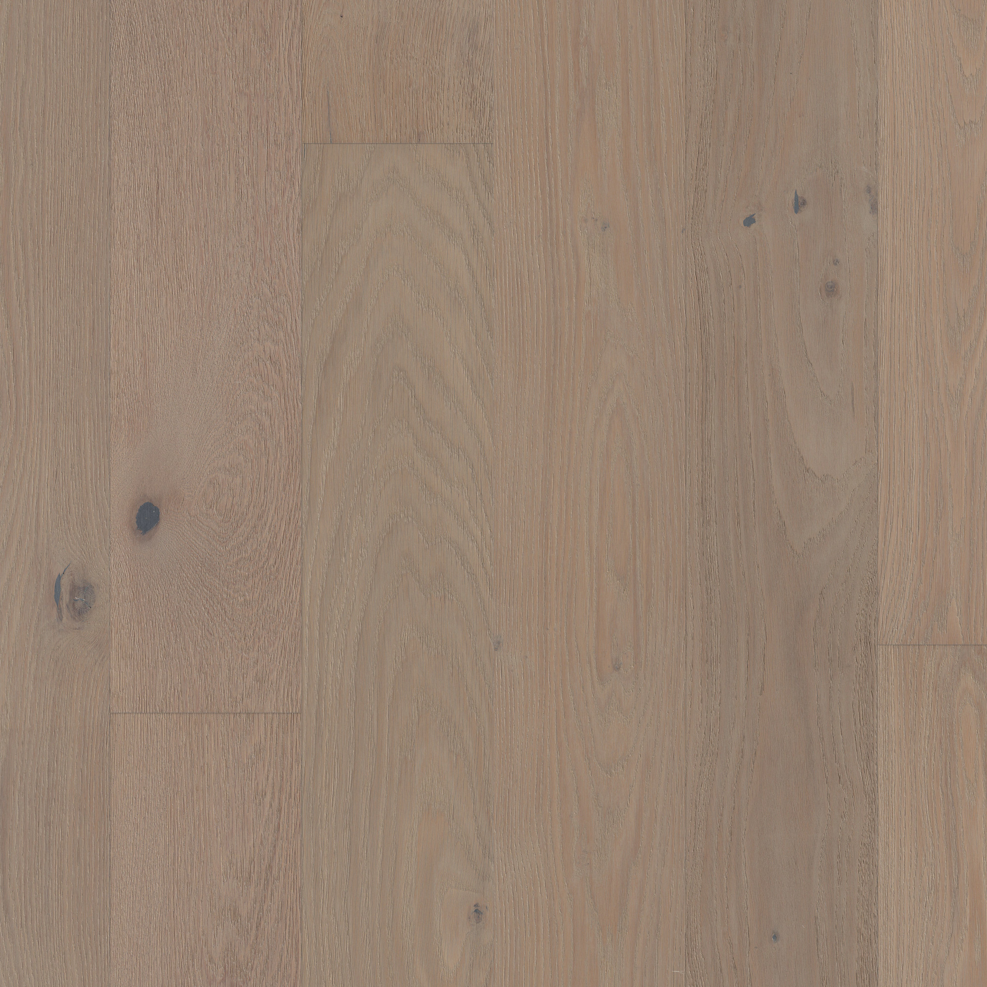 Atelier, laid flat, seen from above