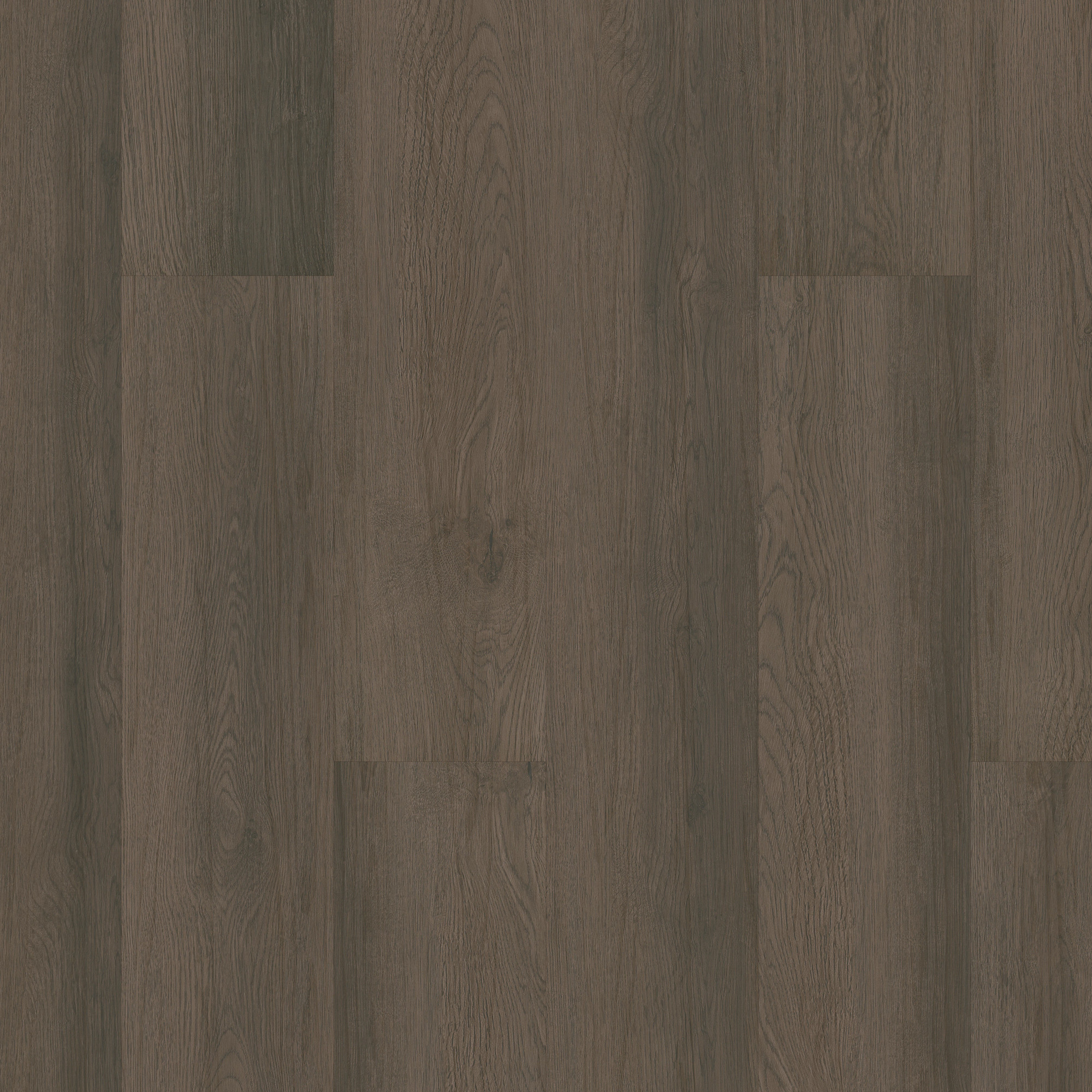 Aged Barrel Oak, laid flat, seen from above