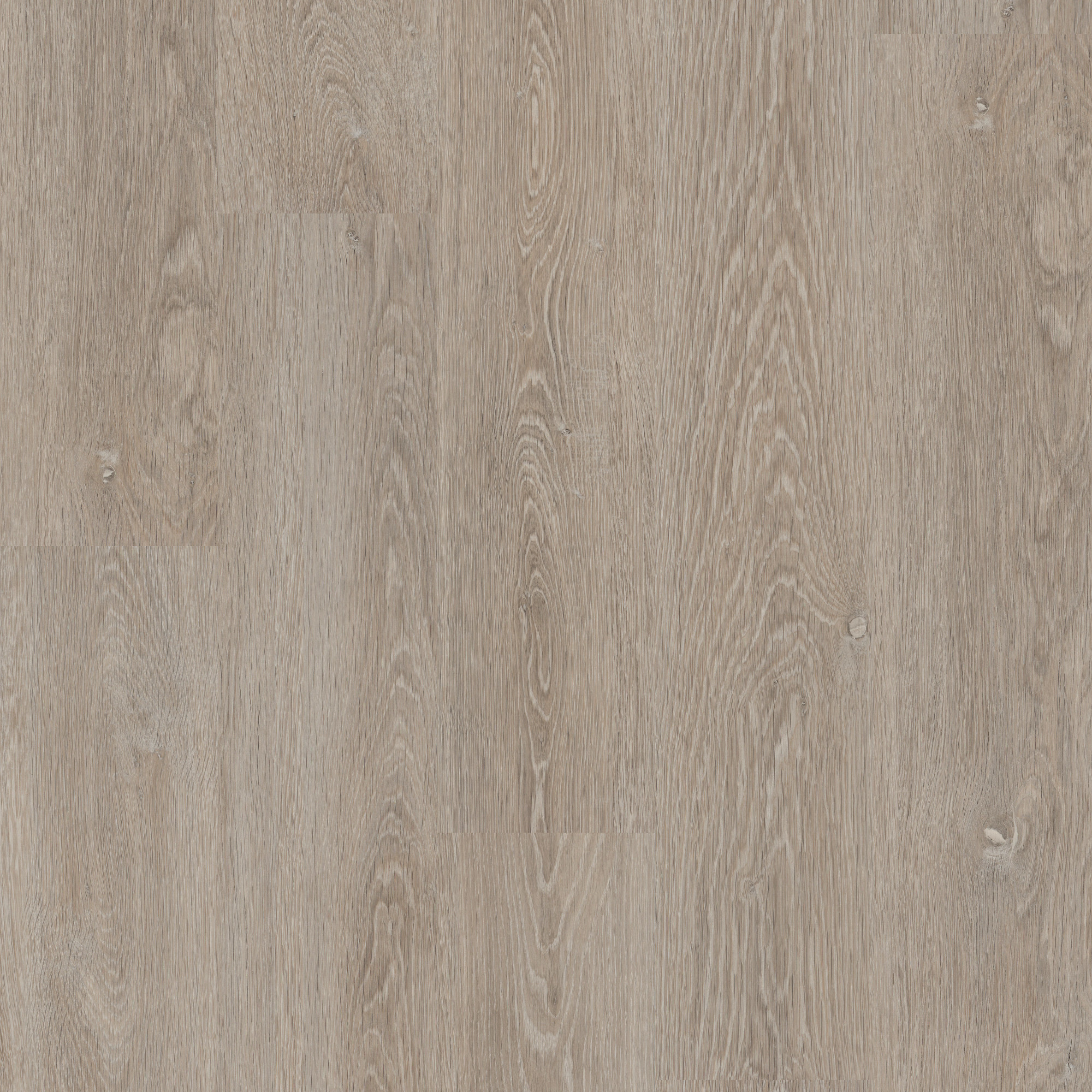 Warm Taupe swatch