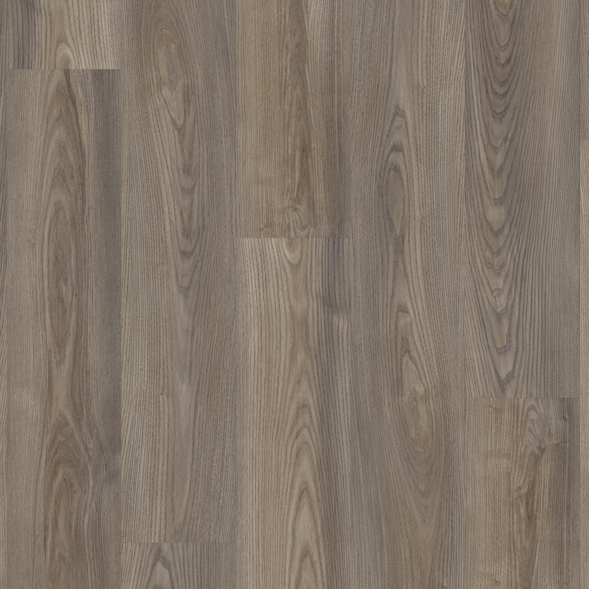 Grey Chestnut swatch