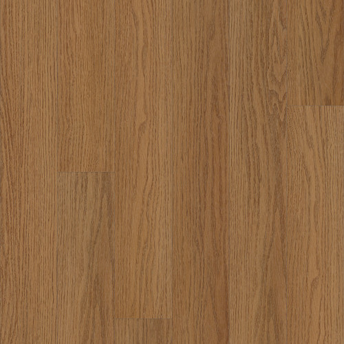Gunstock Oak