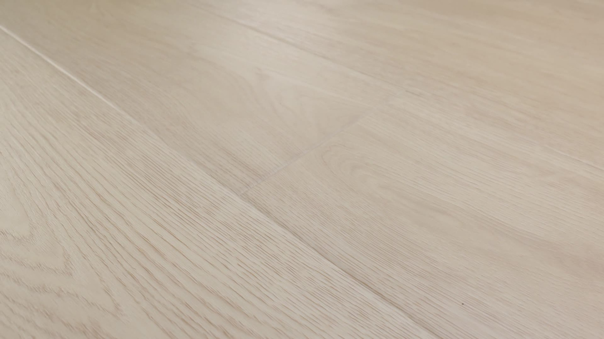 Escape, the manufacturer's 360 video
