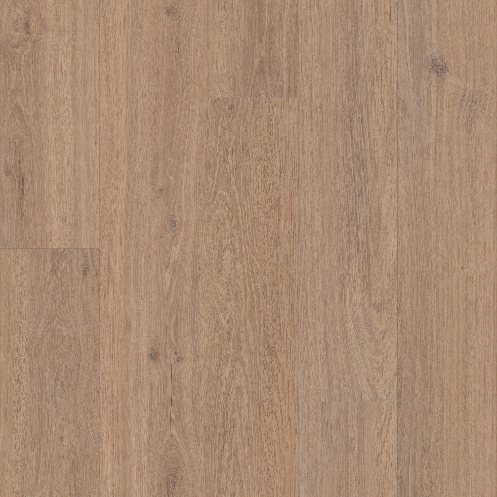 Habitat swatch