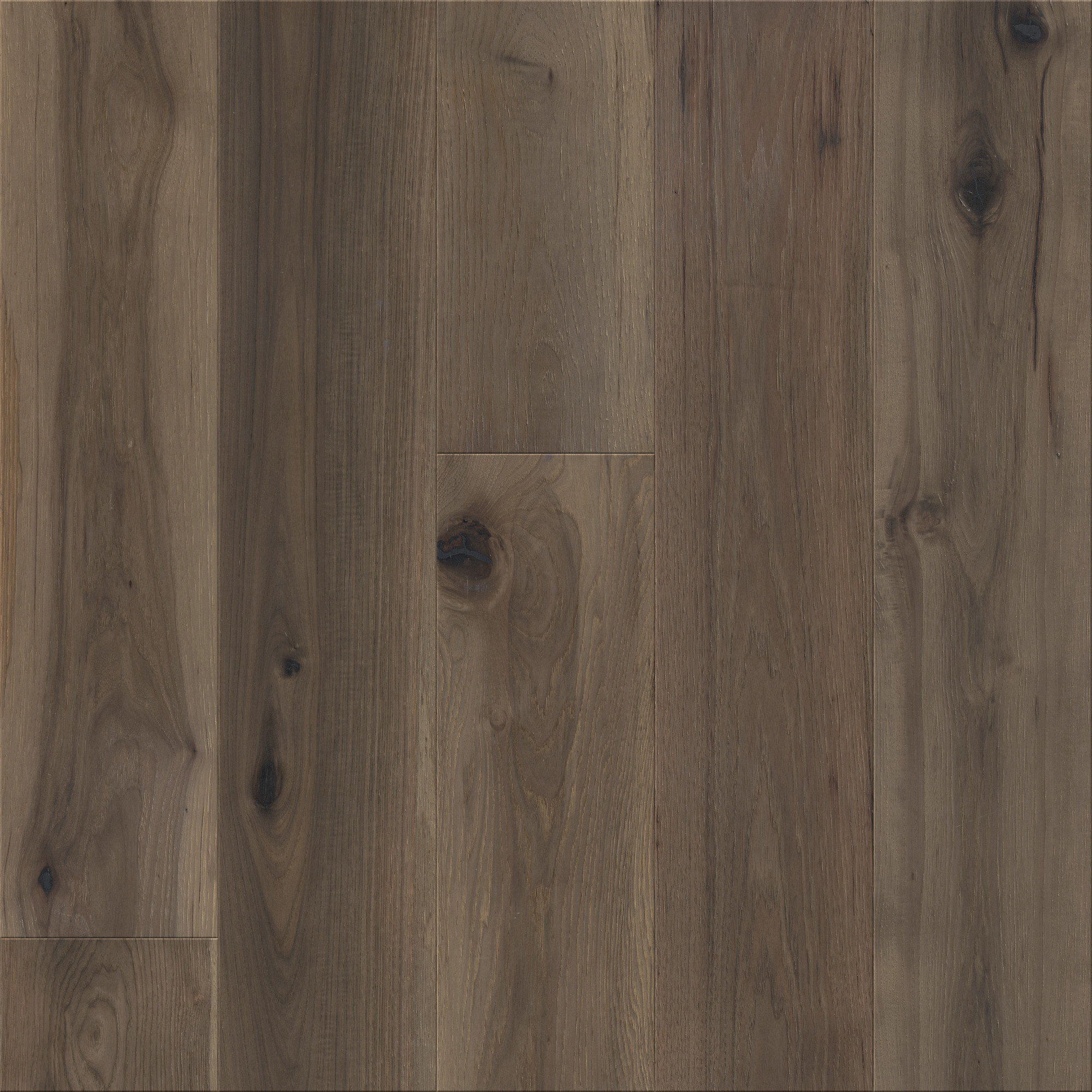 Elevation swatch