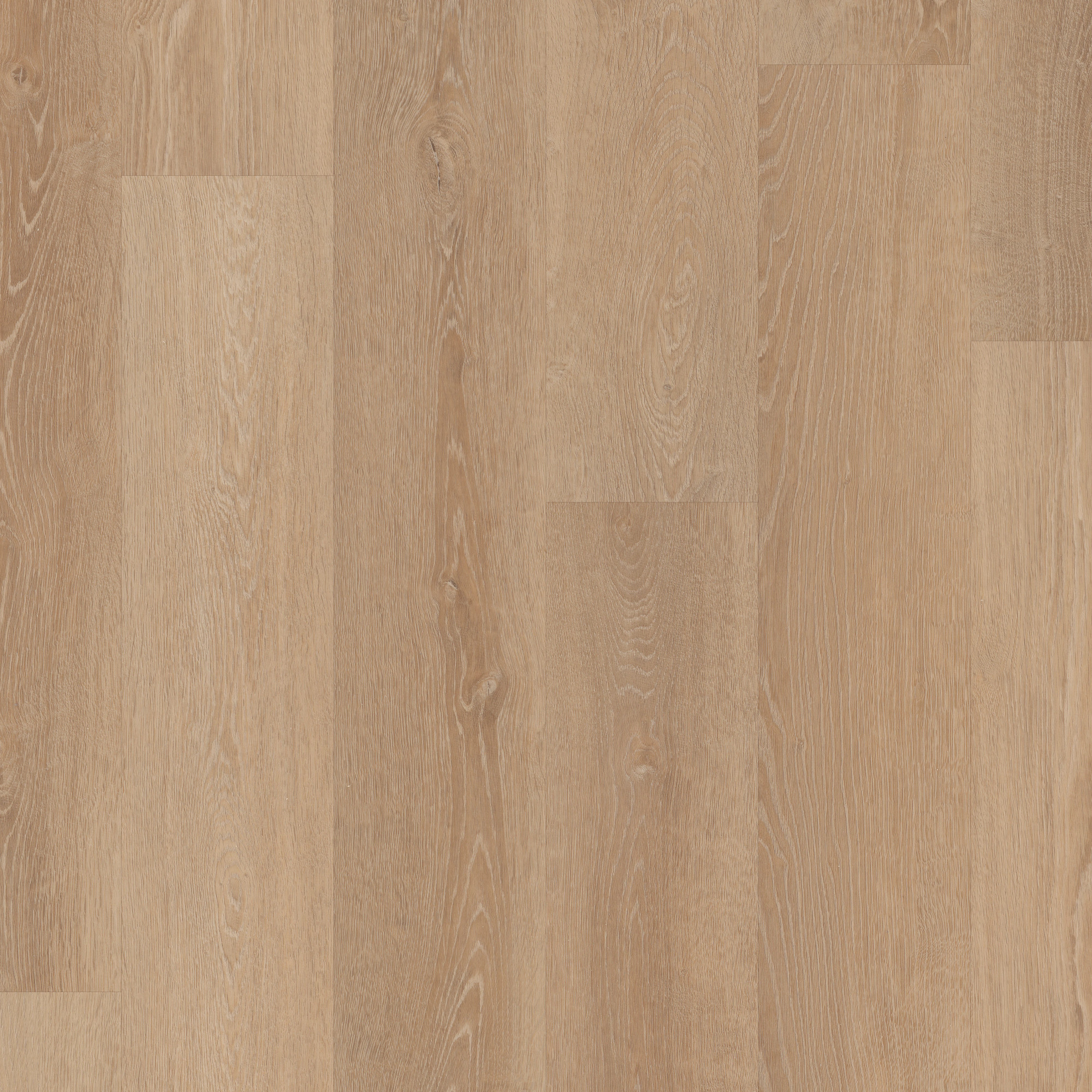 Wheat Oak swatch