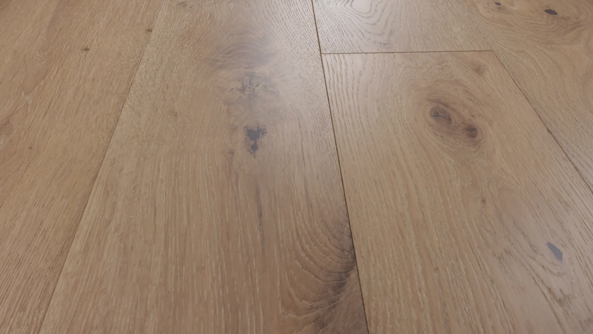 Alla Prima, the manufacturer's 360 video