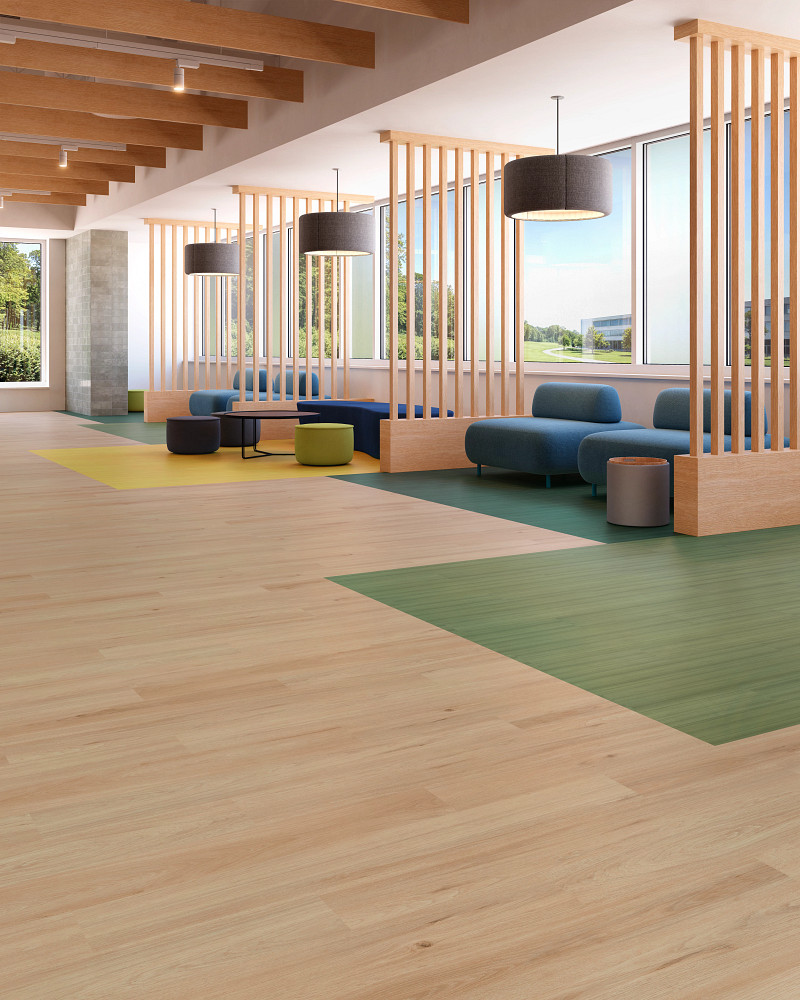 Cactus flooring in a room
