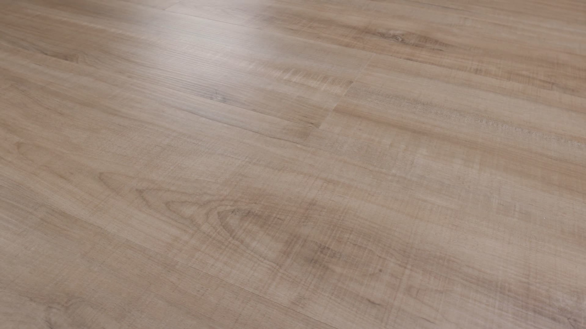 Chatter Oak, the manufacturer's 360 video