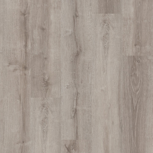 Beach Oak