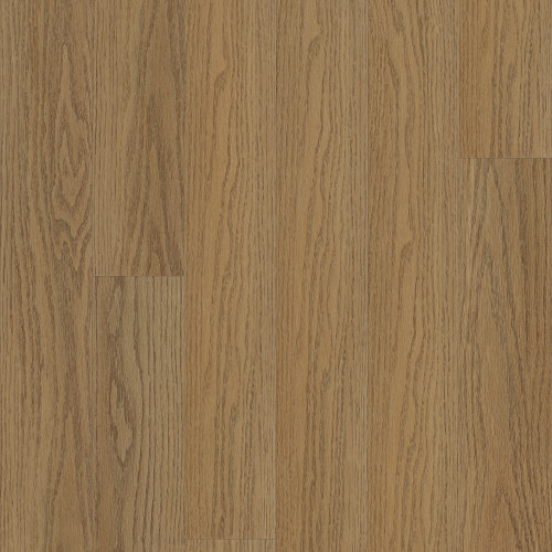 Antique Natural Oak, Shaw Floors · Traditions