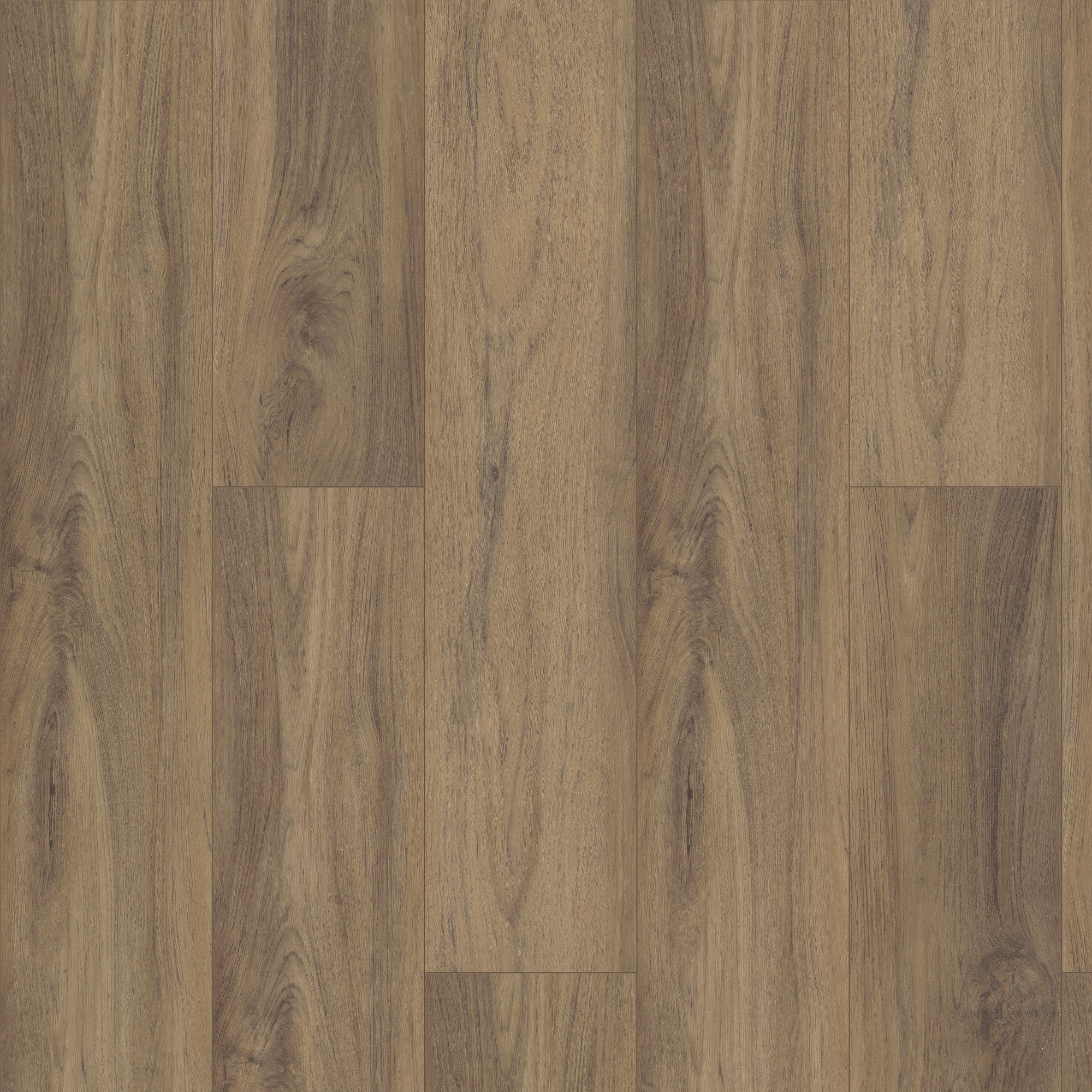 Fiano swatch