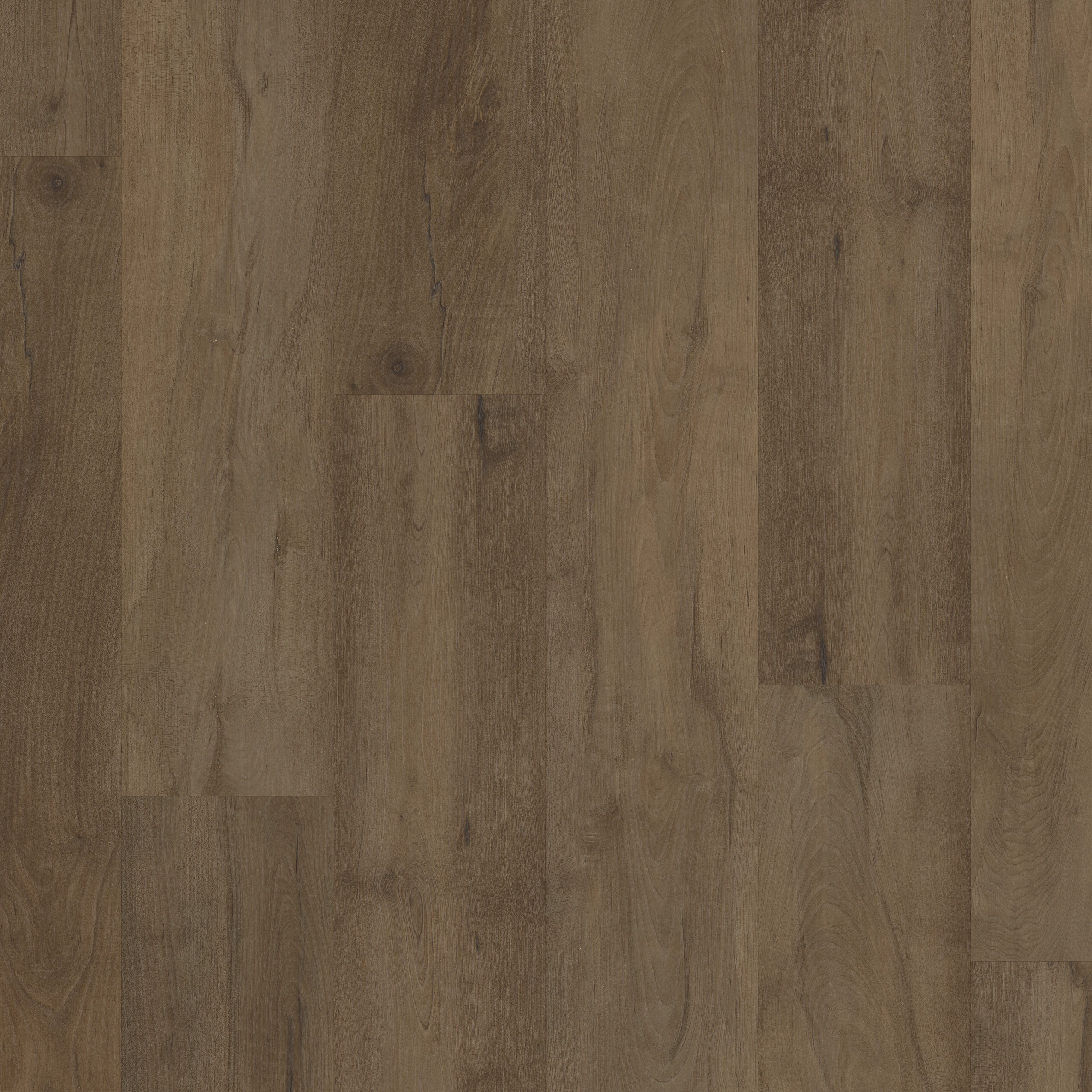 Stonehaven Maple, laid flat, seen from above