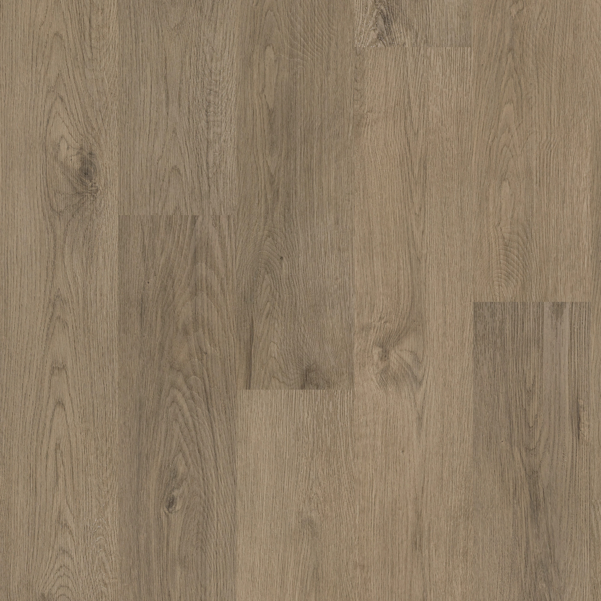Bakersfield Oak swatch