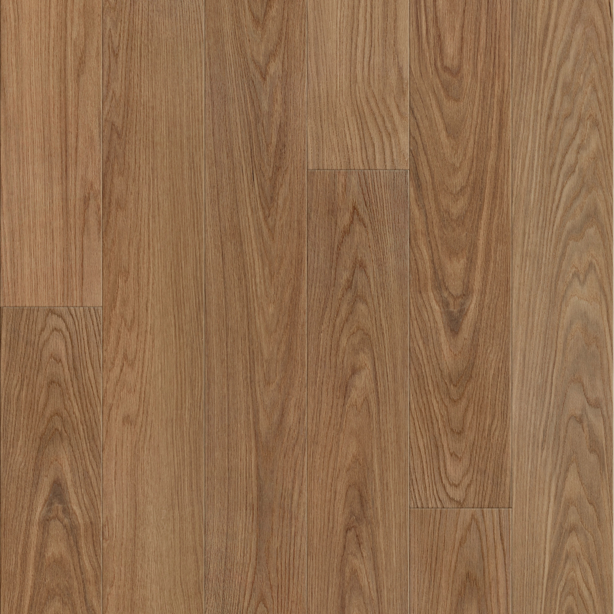 Canyon Oak swatch