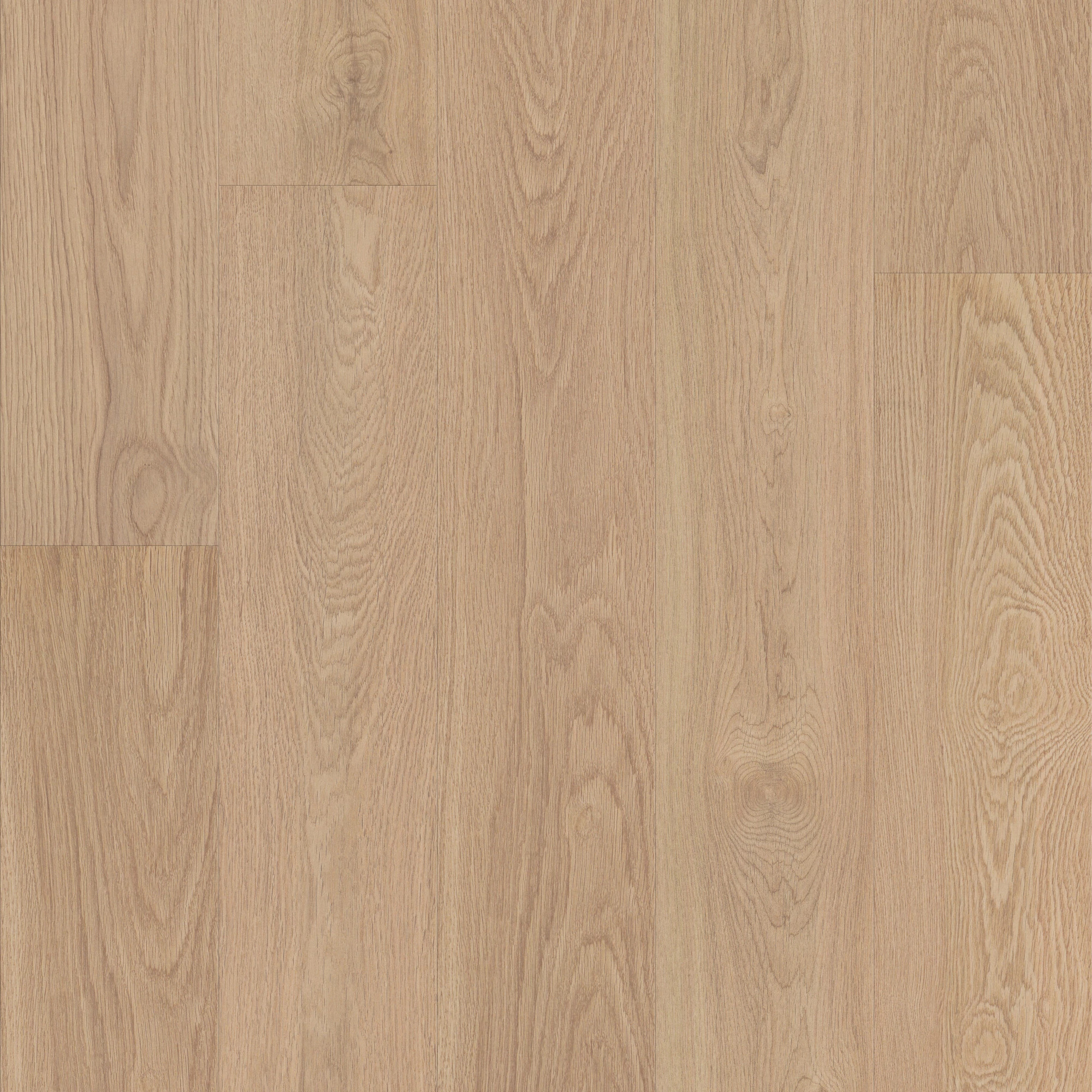 Woodmont Buff swatch