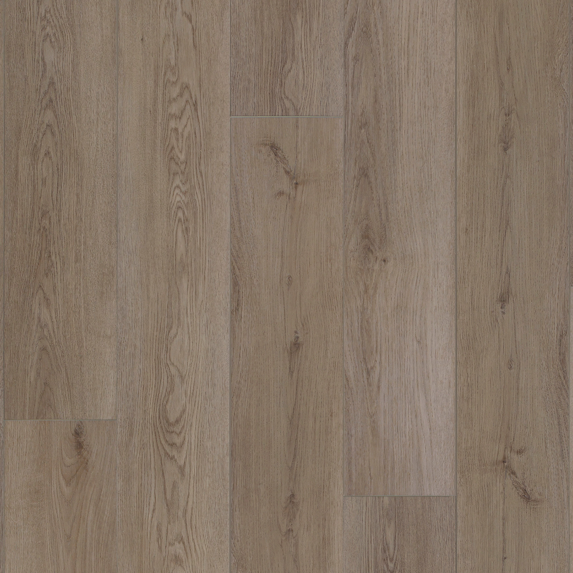 Southmere Oak swatch