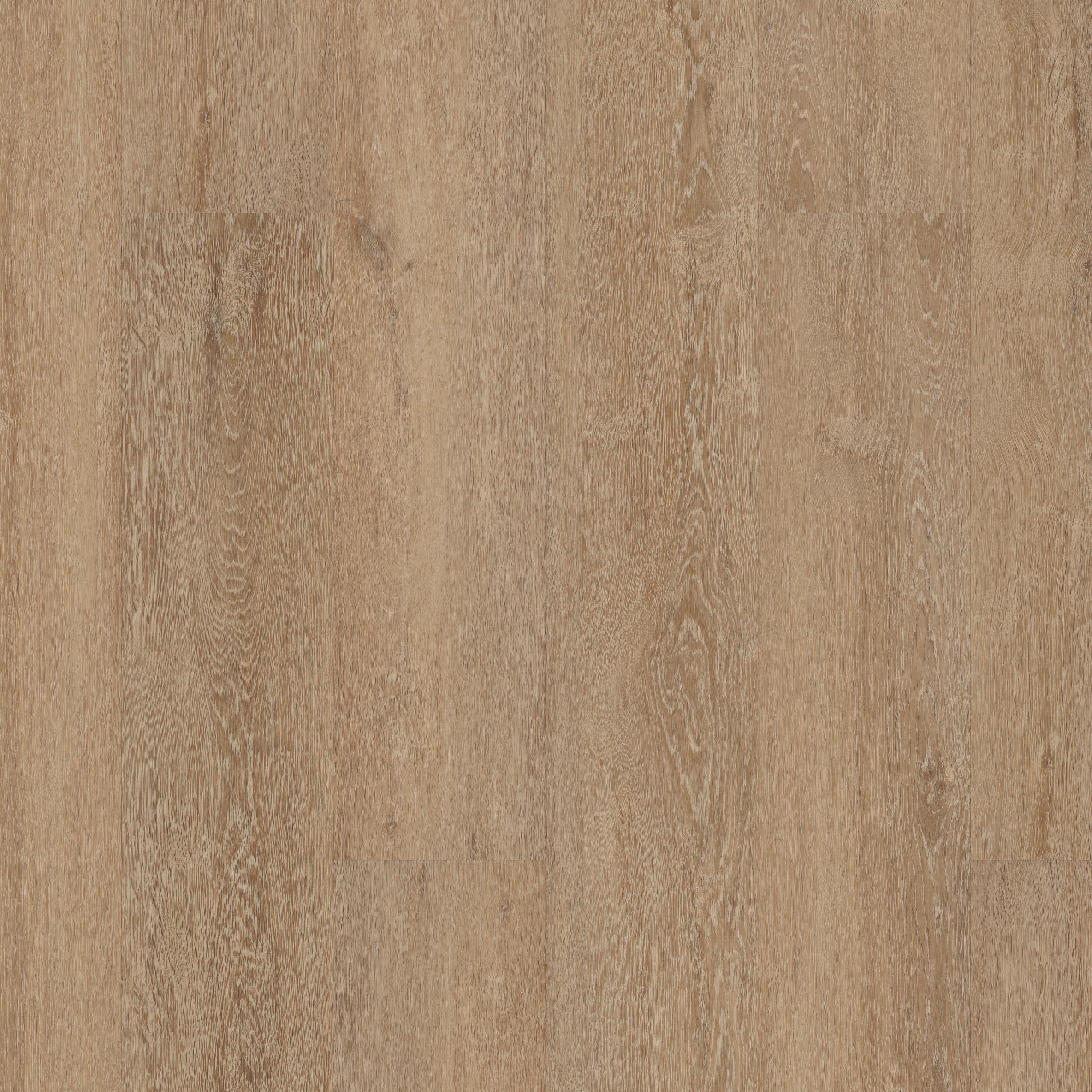 Zawn Oak swatch