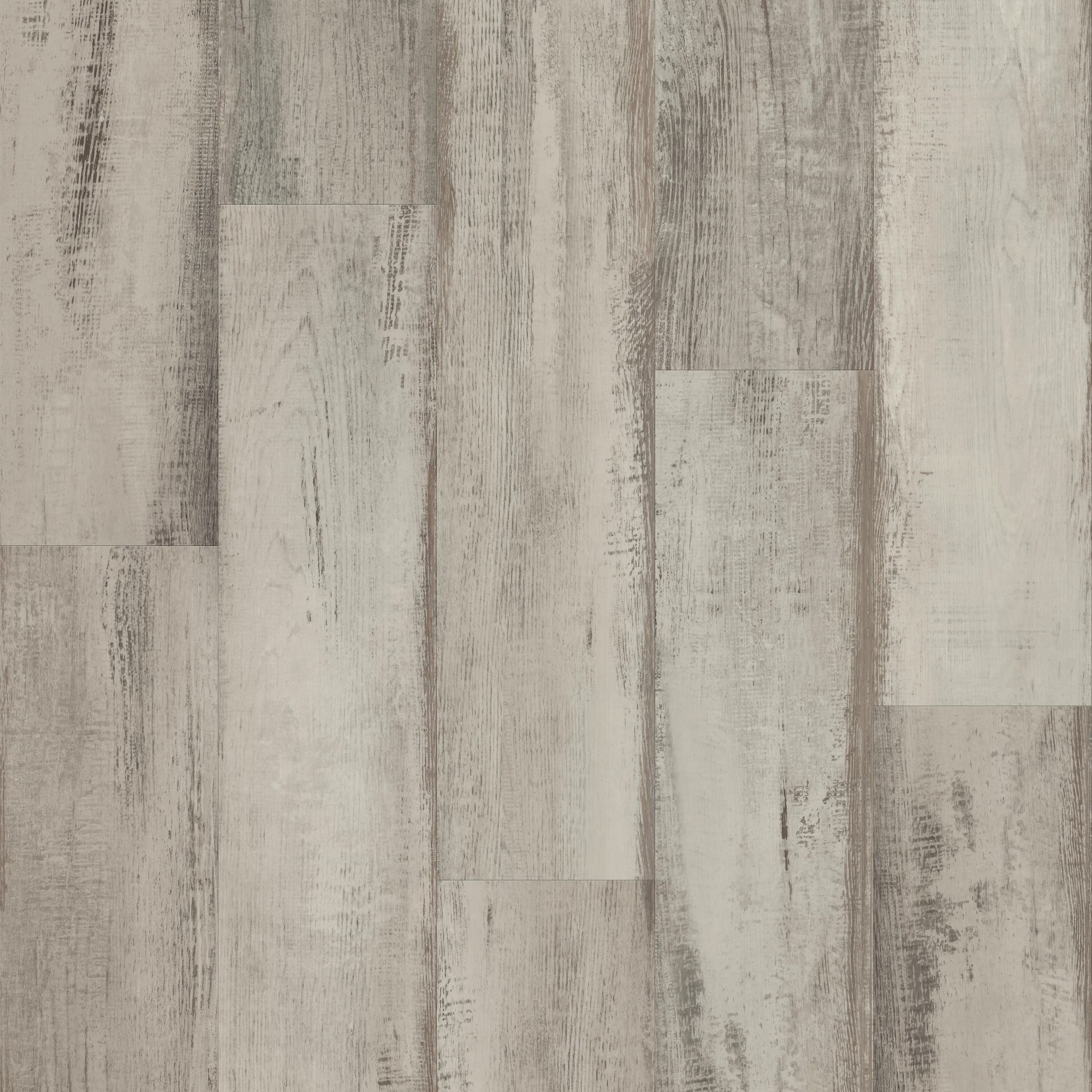Fresh Driftwood, laid flat, seen from above