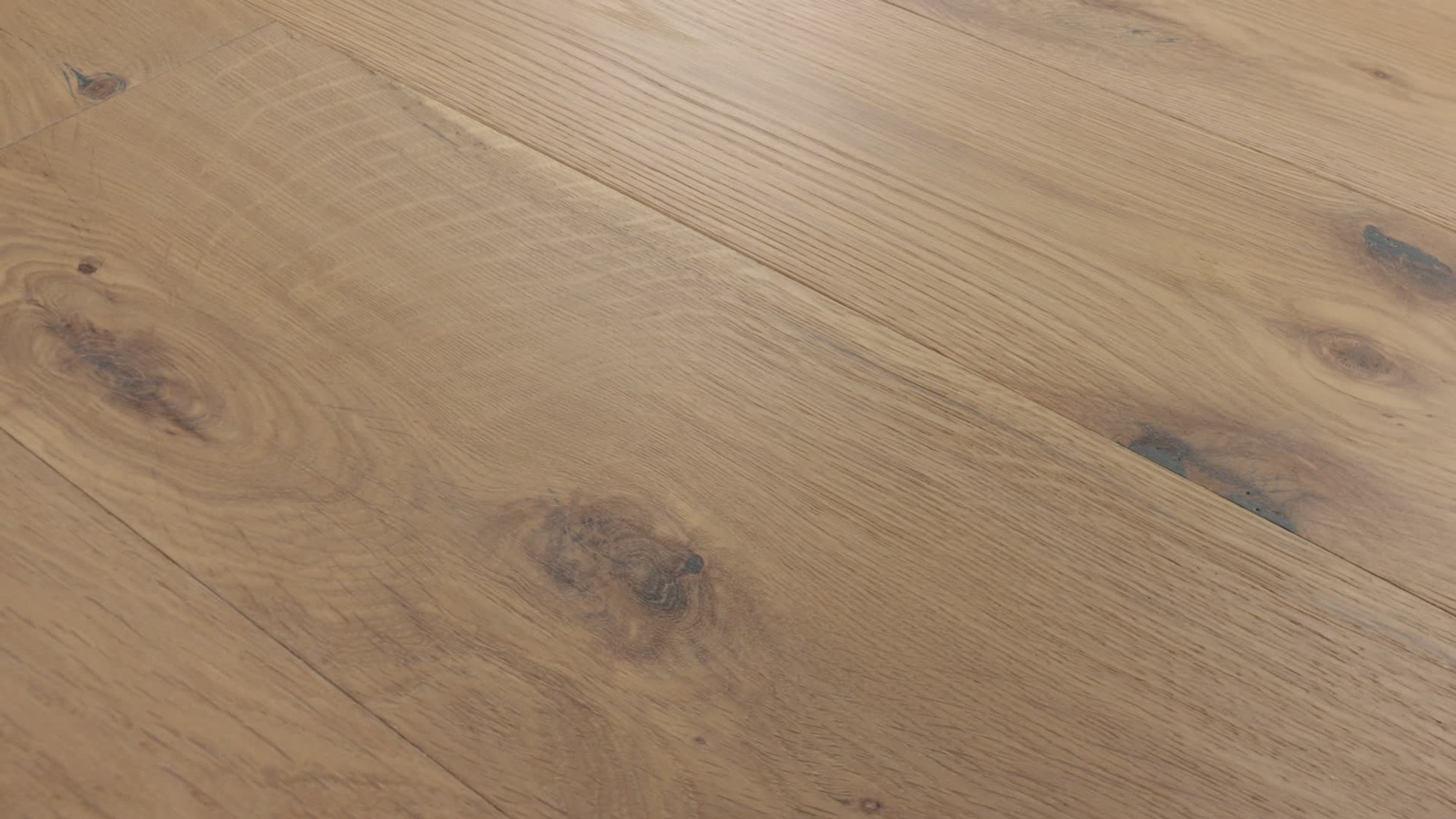 Timber, the manufacturer's 360 video