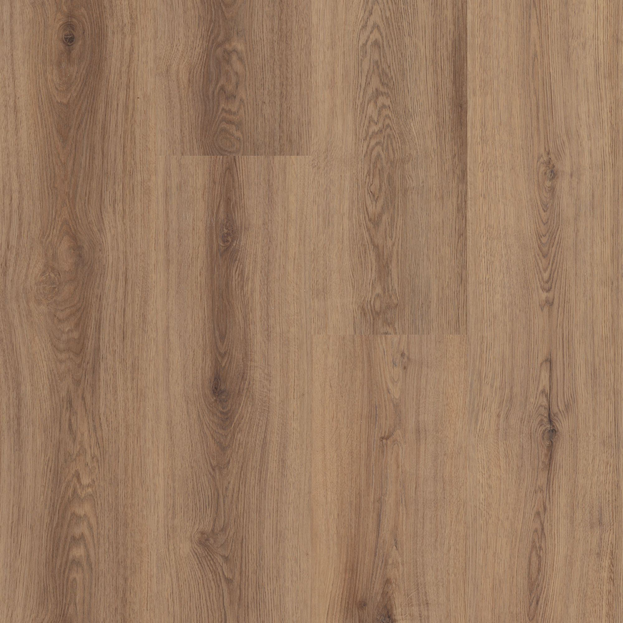 Coffee Oak swatch