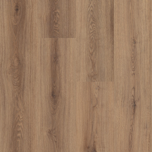 Coffee Oak
