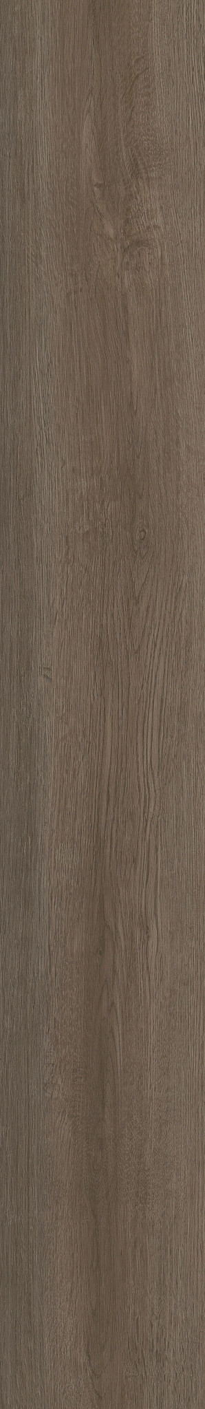 Seneca Oak swatch