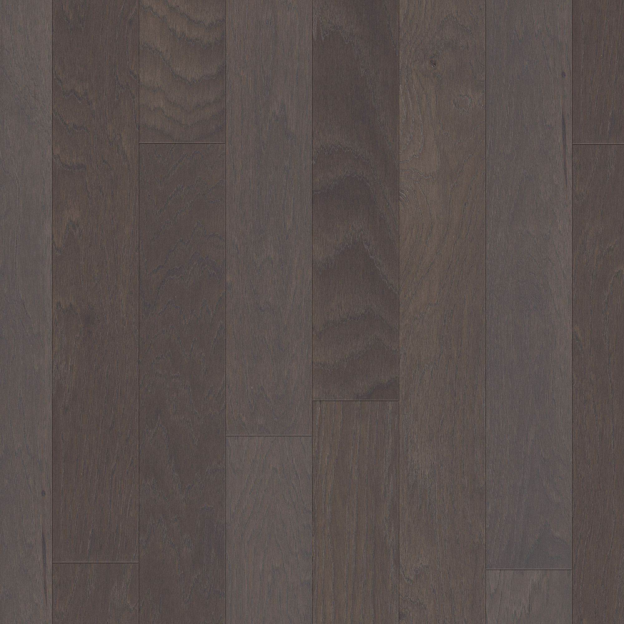 Sable swatch