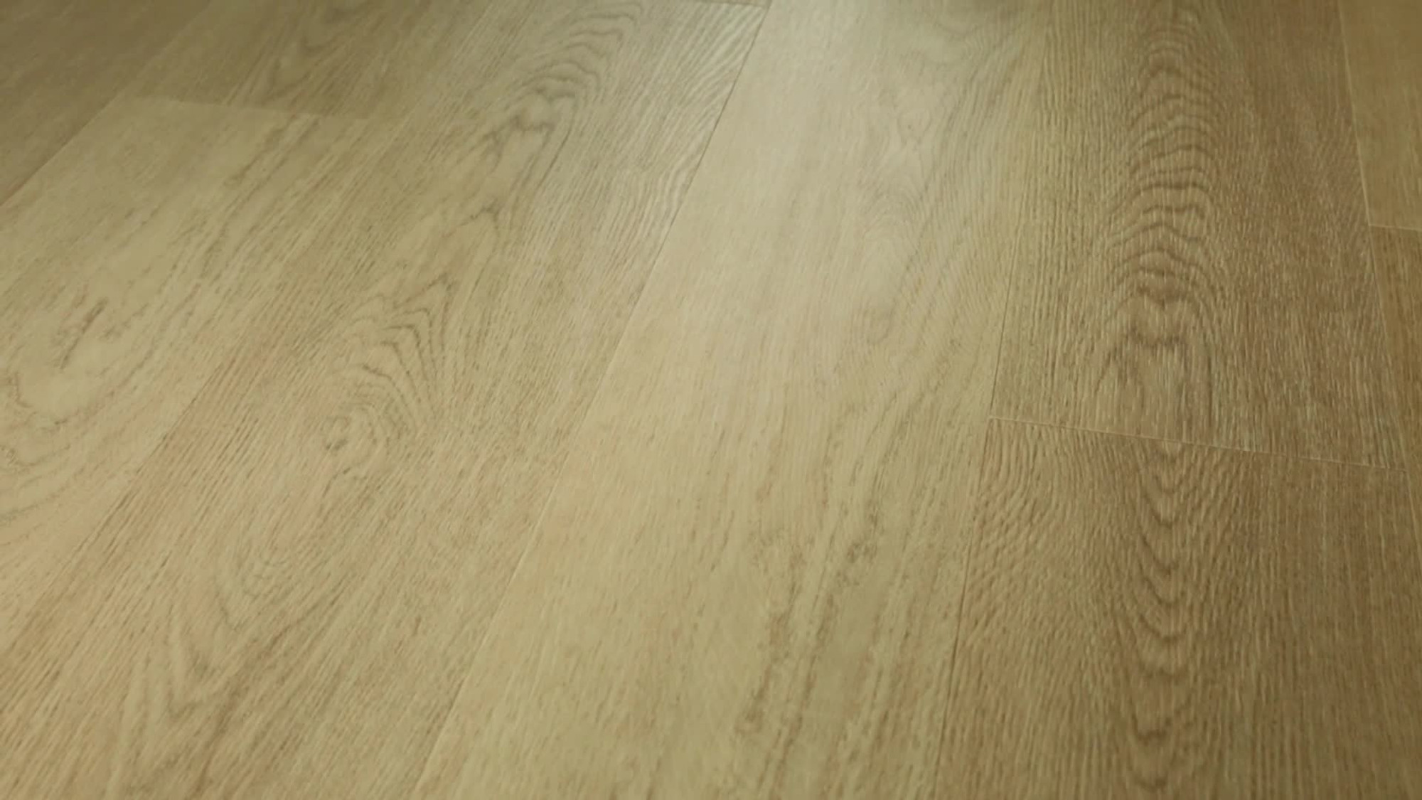 Stockton Oak, the manufacturer's 360 video