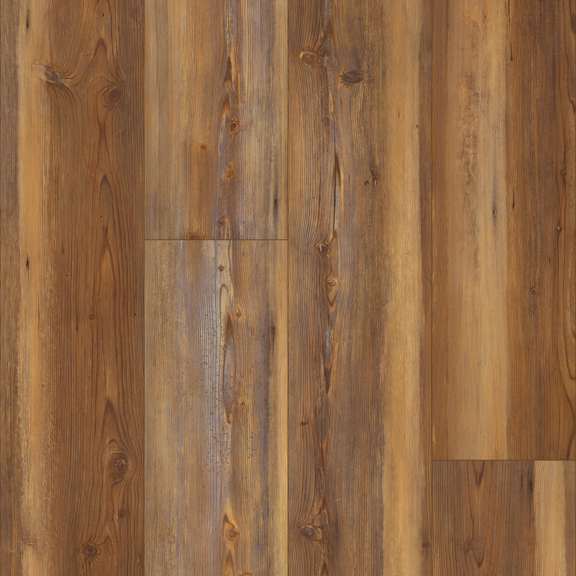 Appalachian Pine, laid flat, seen from above