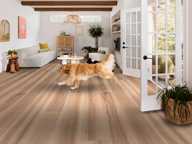Ecru Maple flooring in a room