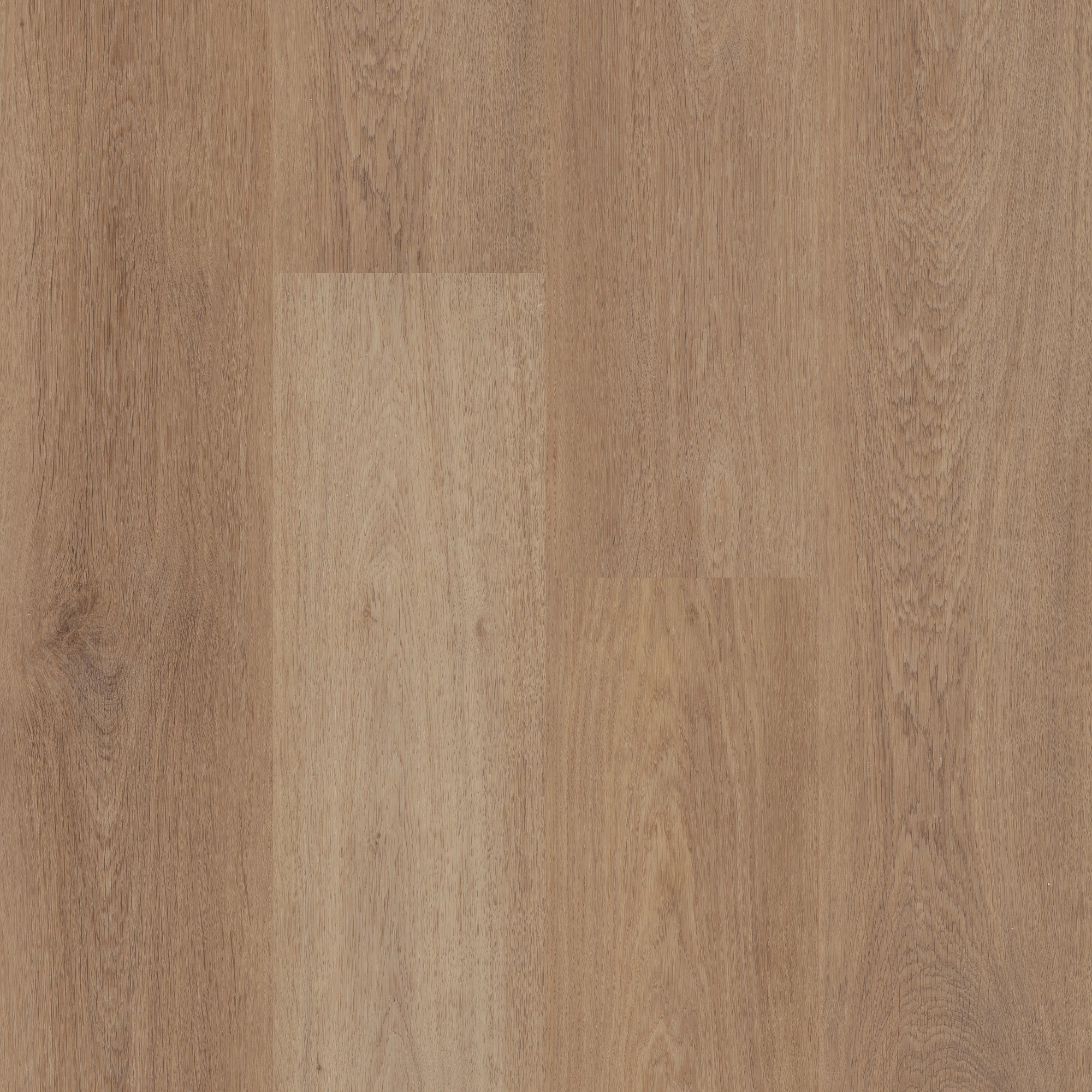 Tusk Oak swatch