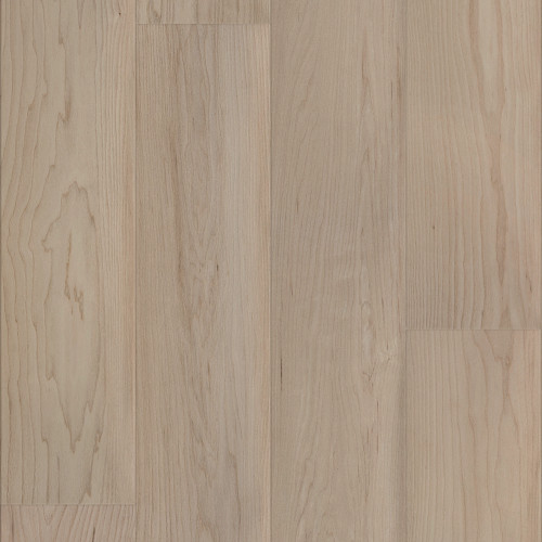 Coastal Dune Maple