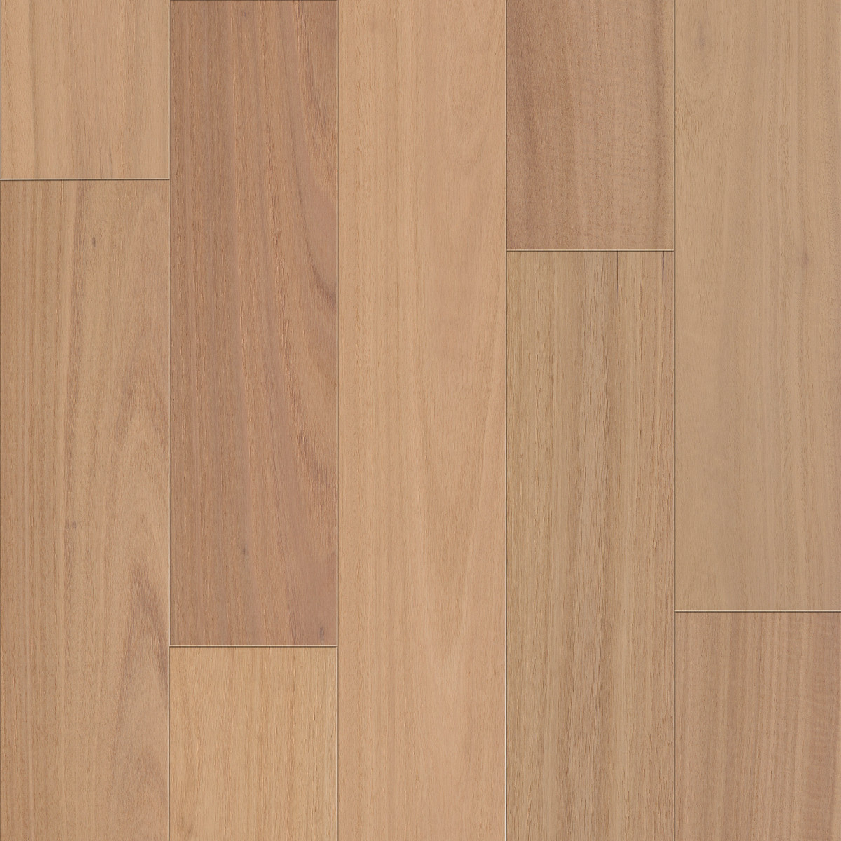 Coral Sand, Bridgewater Eucalyptus