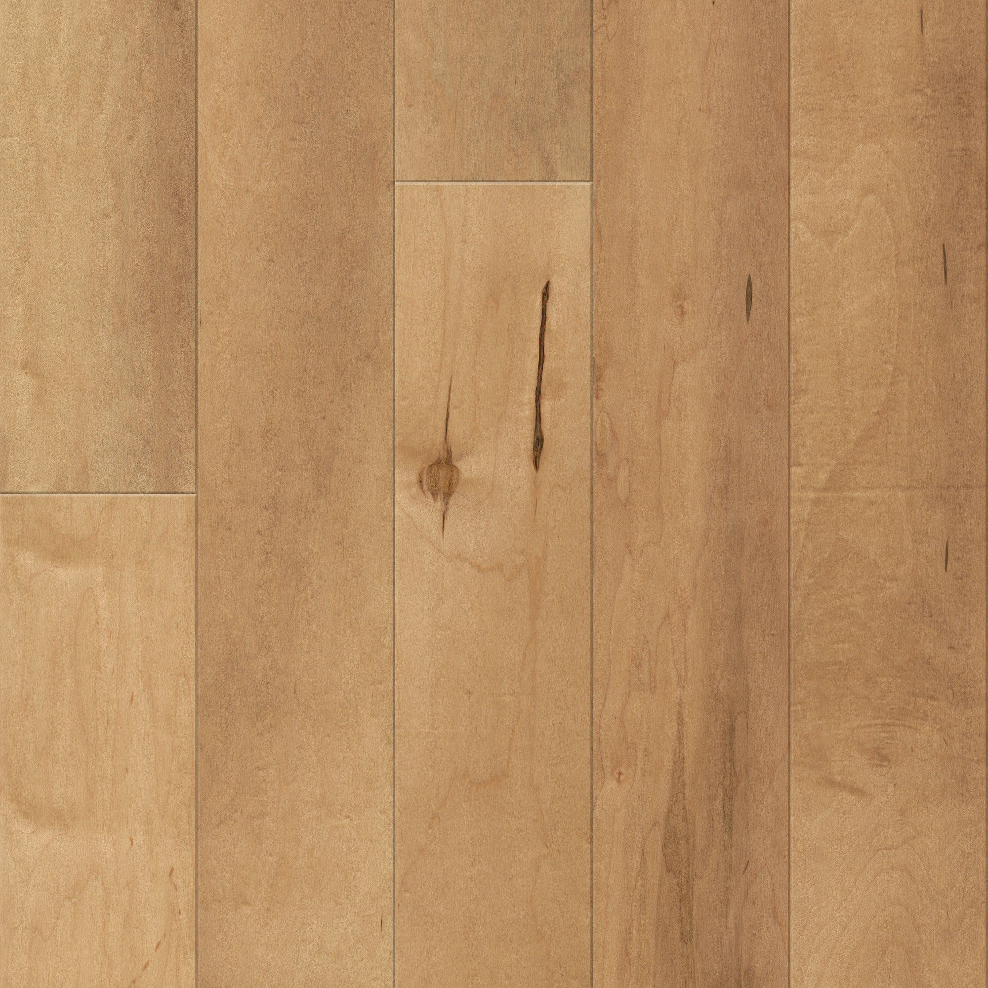 Charismatic, laid flat, seen from above