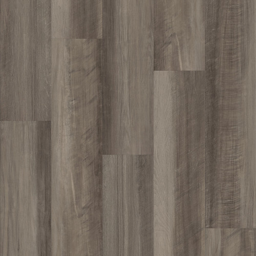 Oyster Oak