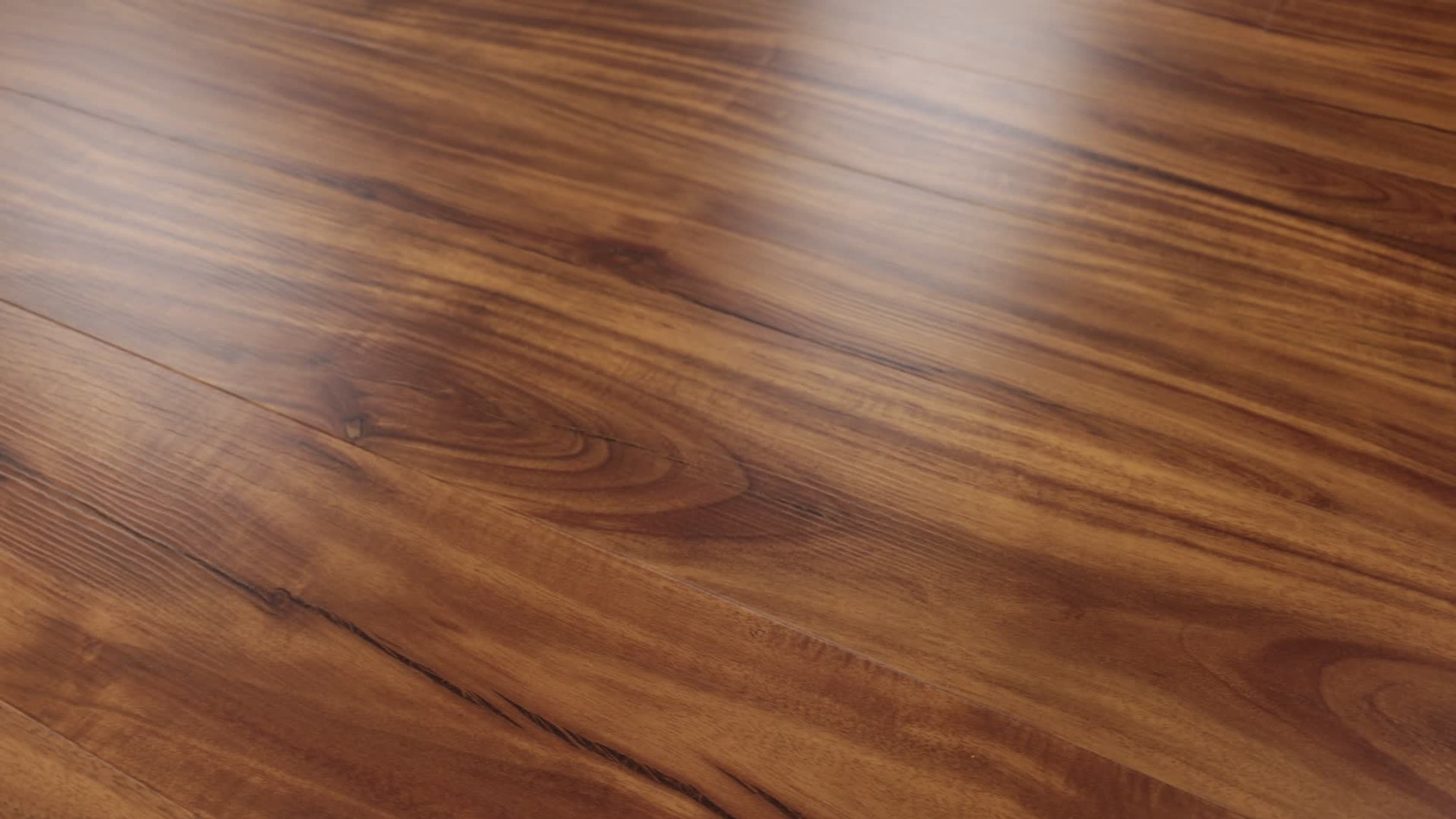 Gold Coast Acacia, the manufacturer's 360 video