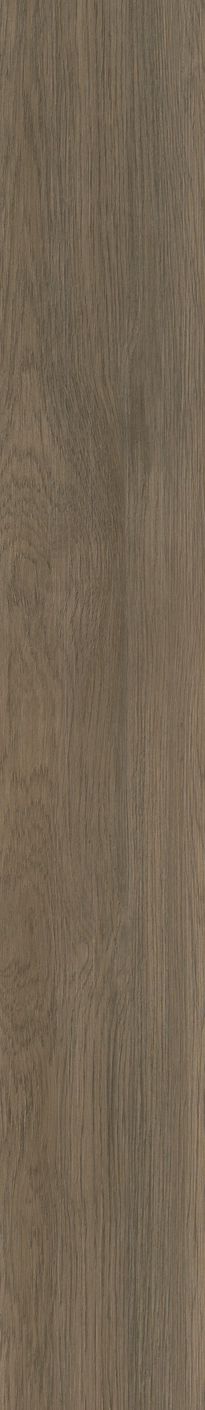 Native Pecan swatch