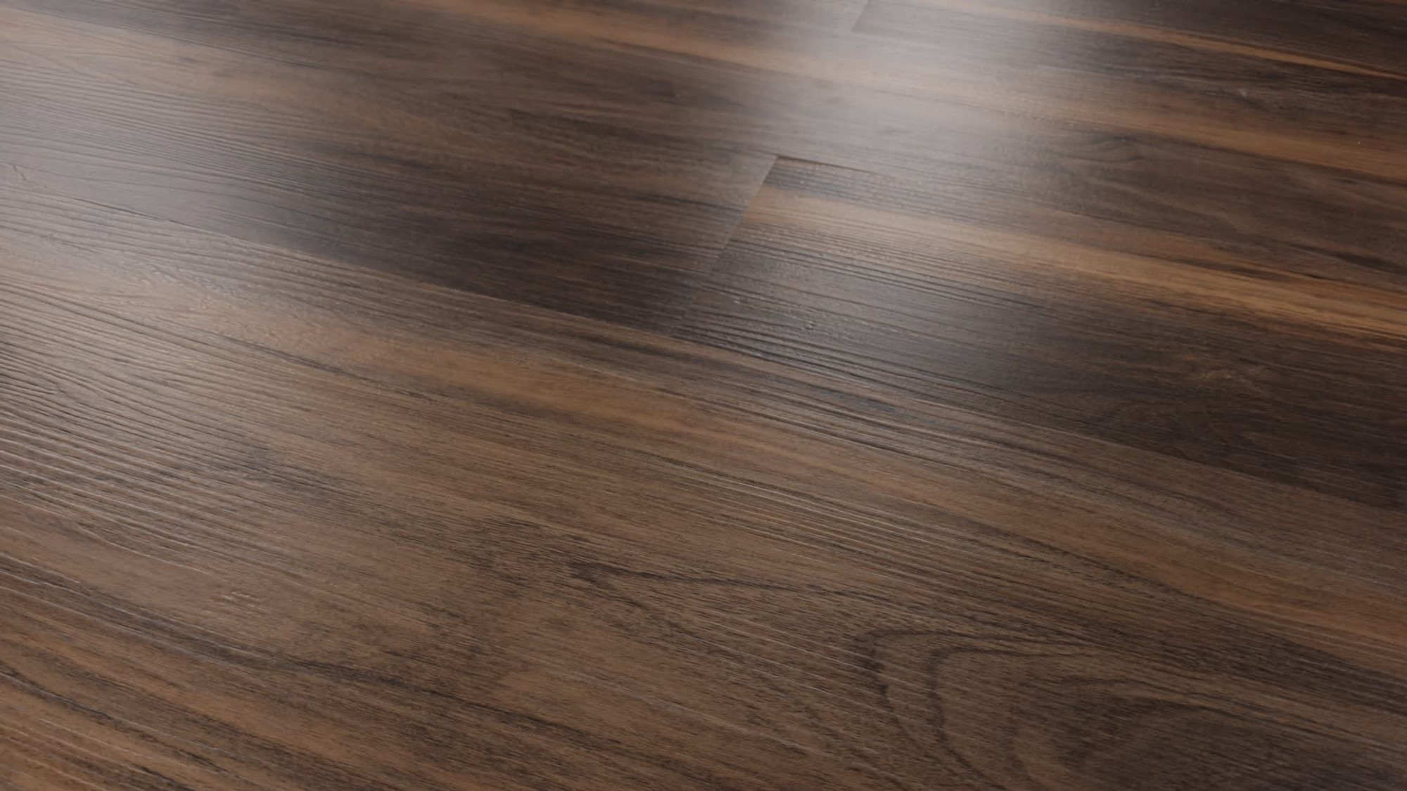 Terra, the manufacturer's 360 video