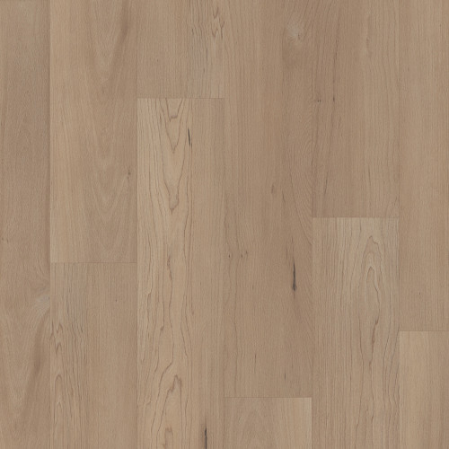 Hatfield Maple