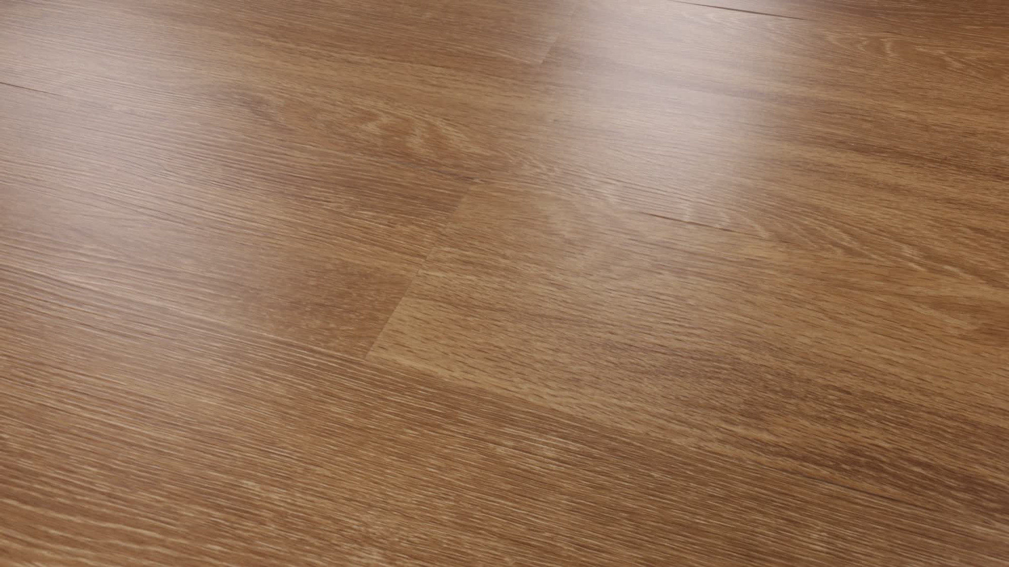 South Beach, the manufacturer's 360 video