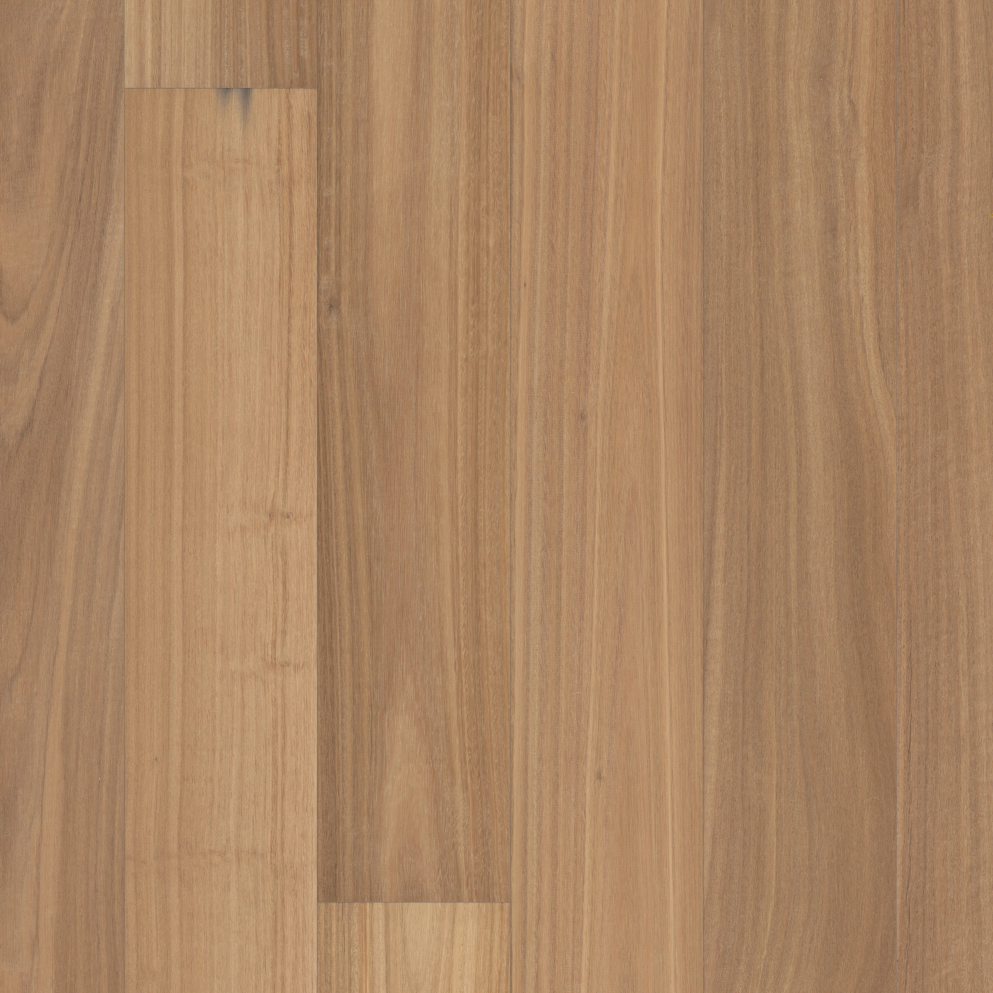 Tahini swatch