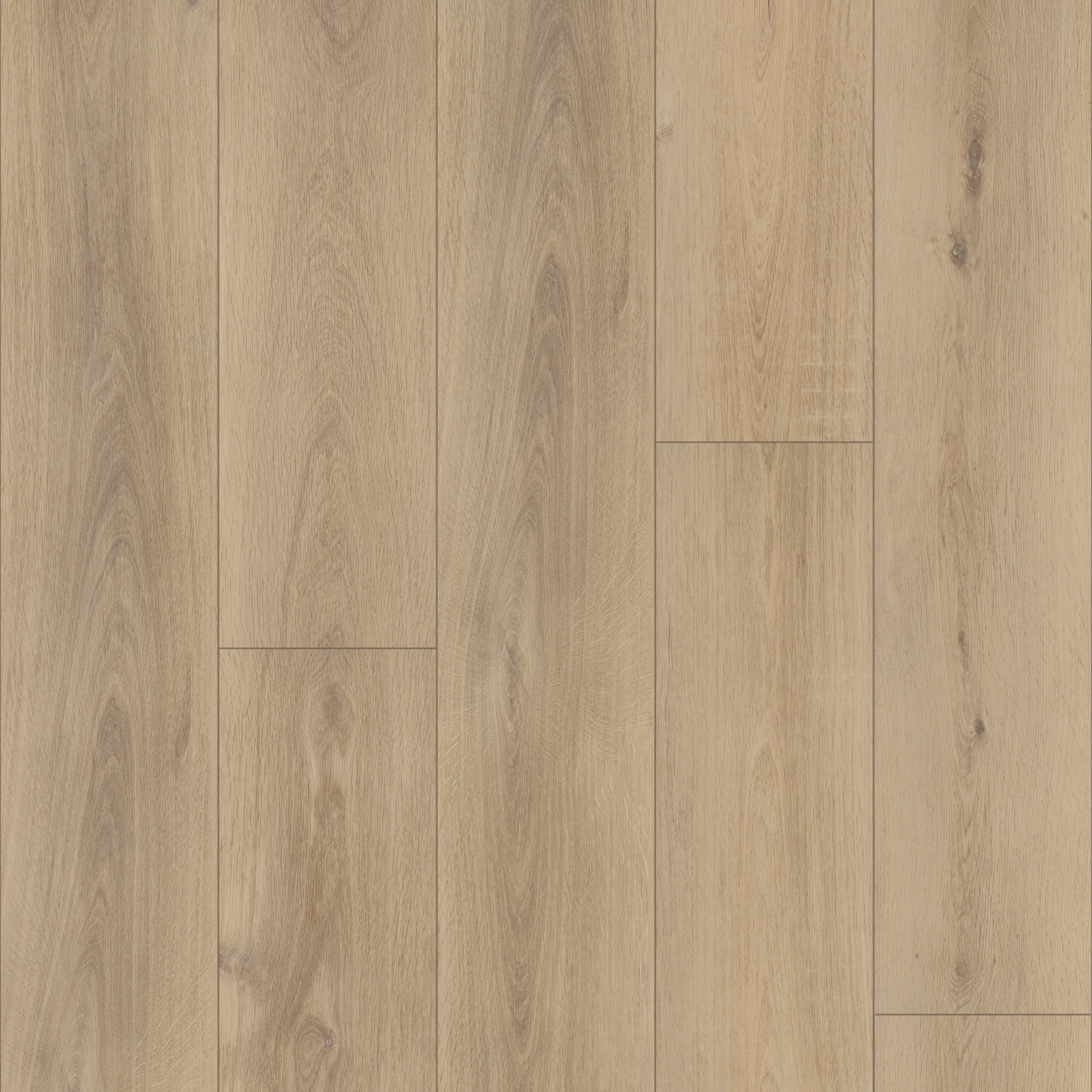Ravenswood Oak swatch